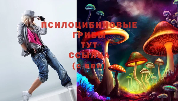 ALPHA-PVP Осинники